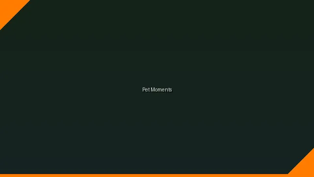 萌宠时刻主题赛 - 捷克钞能力搭讪 UGC视频竞赛